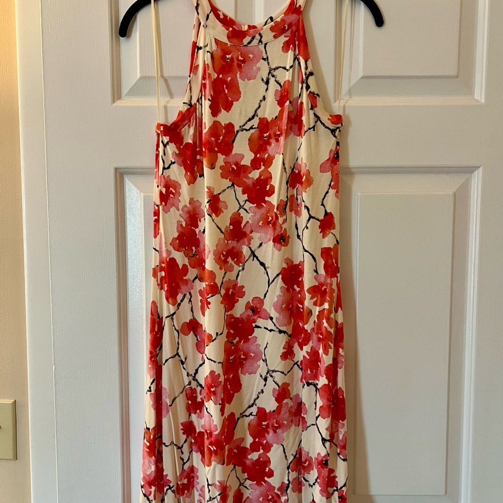 Tart Cream and Red Floral Mini Dress